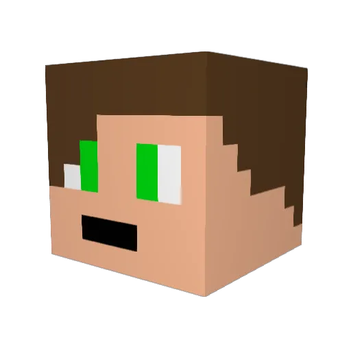 Fleuu Minecraft avatar head, 3D render