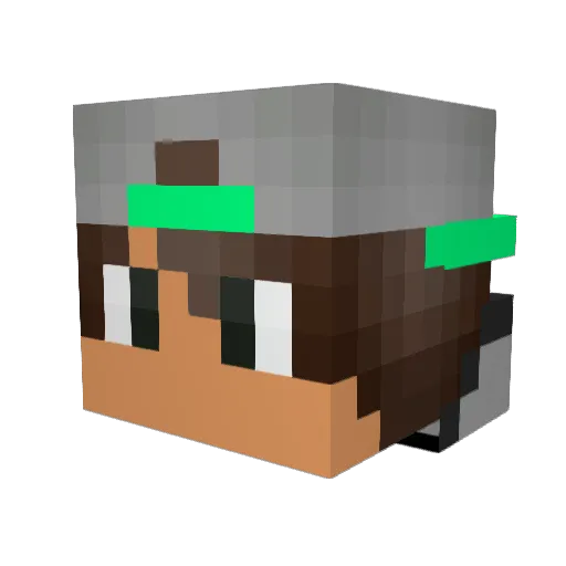 Fleven Minecraft avatar head, 3D render