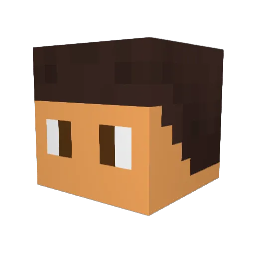 FlexBear Minecraft avatar head, 3D render
