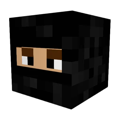 FlexBot1 Minecraft avatar head, 3D render