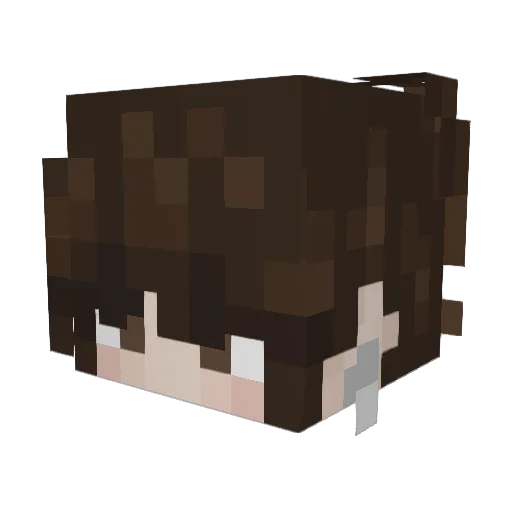 FlexLover21 Minecraft avatar head, 3D render