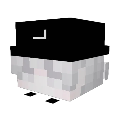 FlexNetwork Minecraft avatar head, 3D render