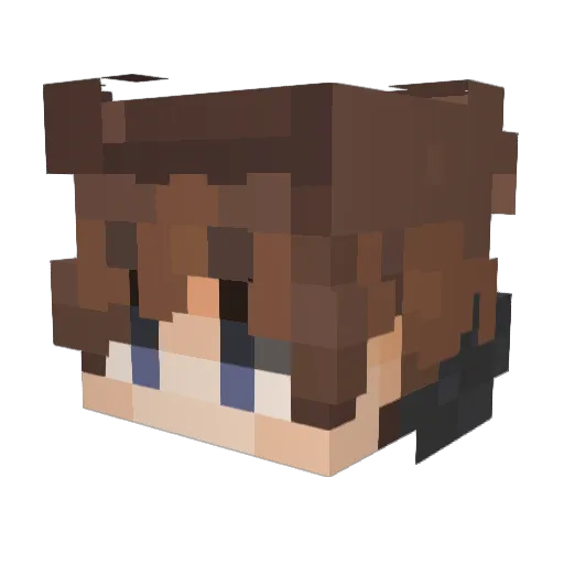 FlexaNL Minecraft avatar head, 3D render