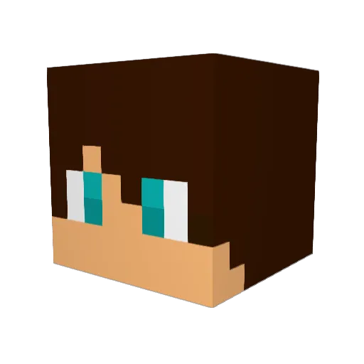 Flexer00 Minecraft avatar head, 3D render