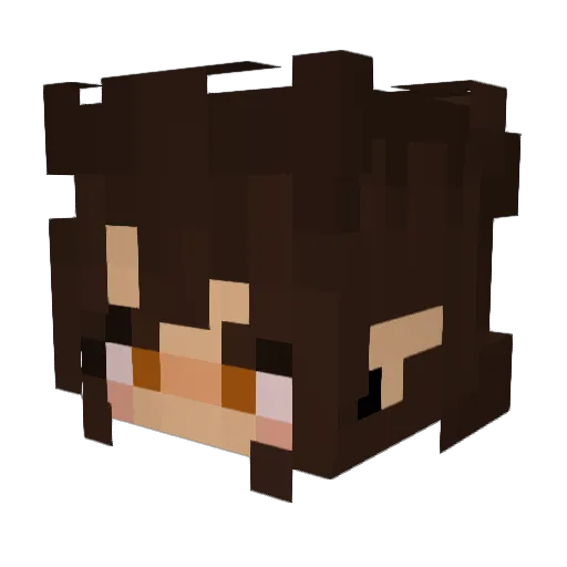 Flexiannn Minecraft avatar head, 3D render