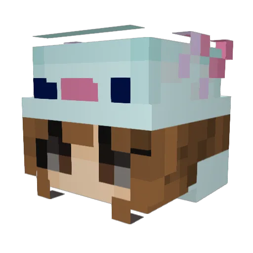 FlexibleYew1748 Minecraft avatar head, 3D render
