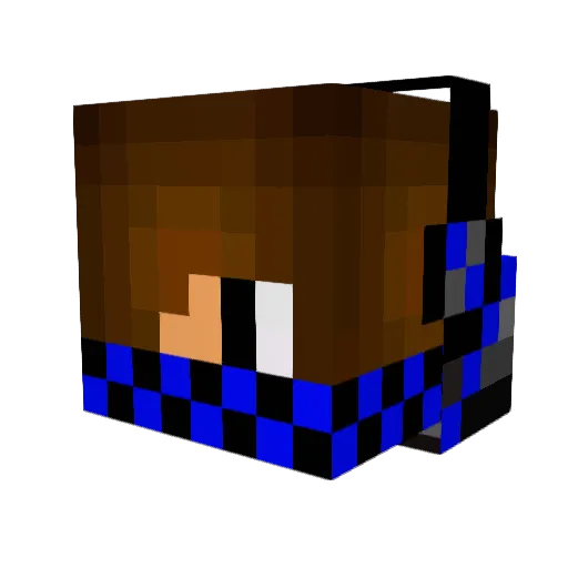 Flexie1402 Minecraft avatar head, 3D render