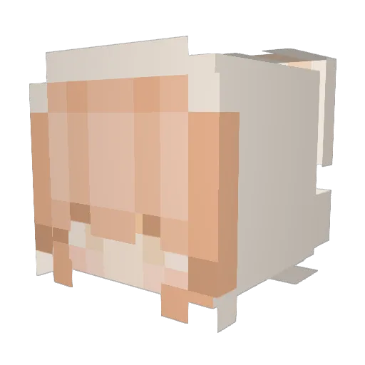 FlexieBelka Minecraft avatar head, 3D render
