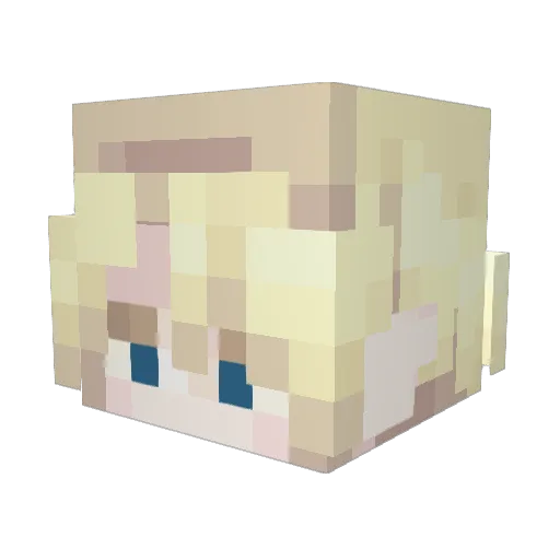 Flexifloo Minecraft avatar head, 3D render