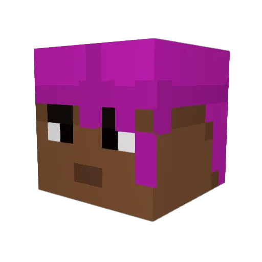 FlexxWet Minecraft avatar head, 3D render