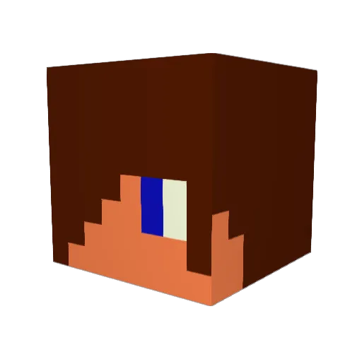 Fleyo Minecraft avatar head, 3D render