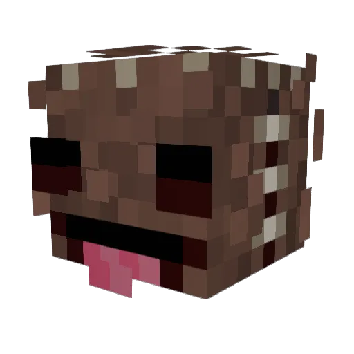 FlibberFlobber Minecraft avatar head, 3D render