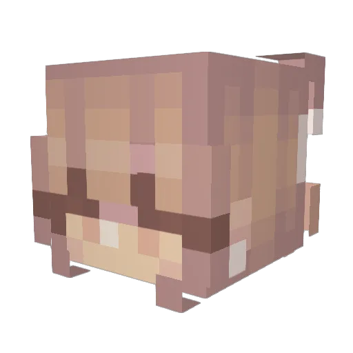 Flibri2023 Minecraft avatar head, 3D render