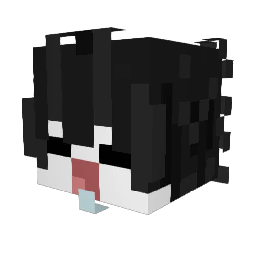 FlickaGod Minecraft avatar head, 3D render