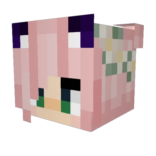 Flickax Minecraft avatar head, 3D render