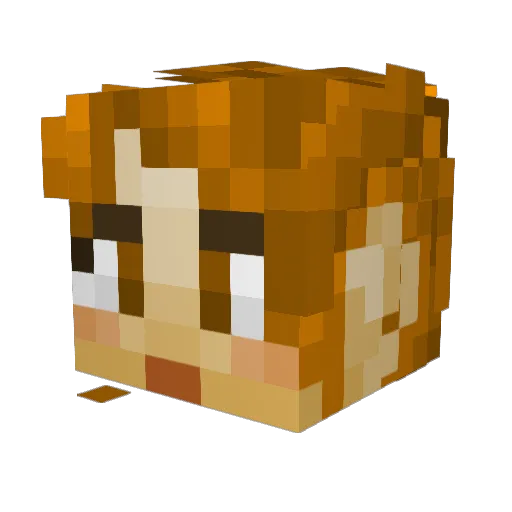 Flickbomb Minecraft avatar head, 3D render