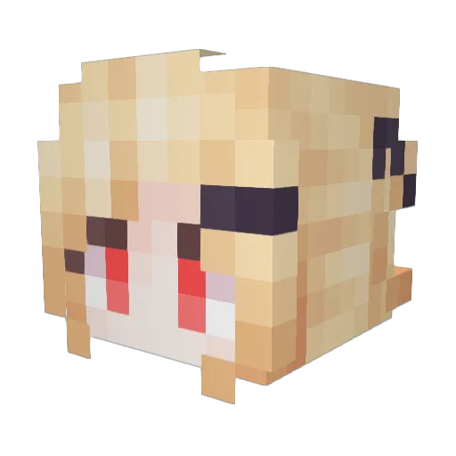 Flicker112 Minecraft avatar head, 3D render