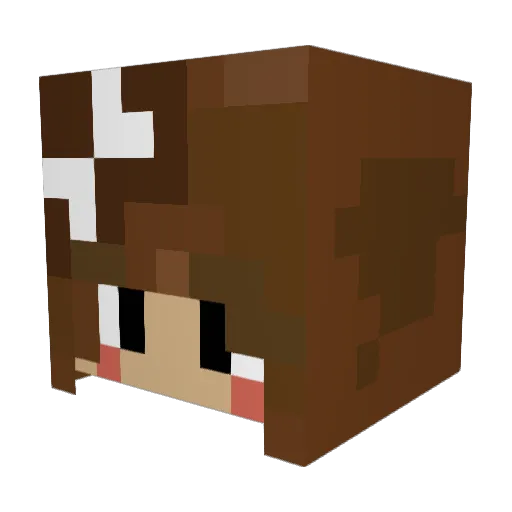 FlickyBoo Minecraft avatar head, 3D render
