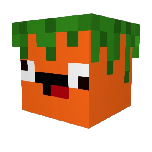 FlickzZx Minecraft avatar head, 3D render