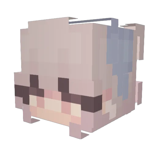 Fliege03 Minecraft avatar head, 3D render