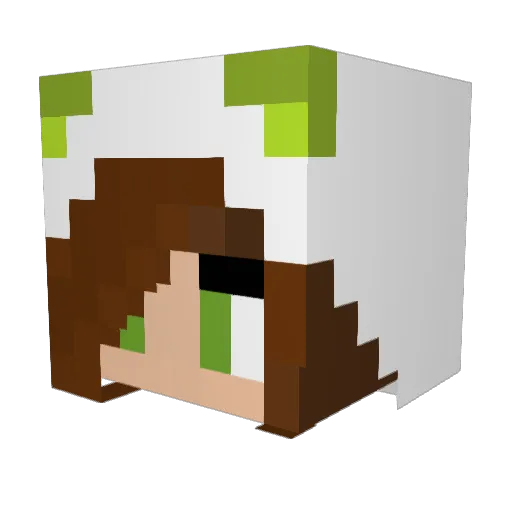 Fliegenklatsche2 Minecraft avatar head, 3D render