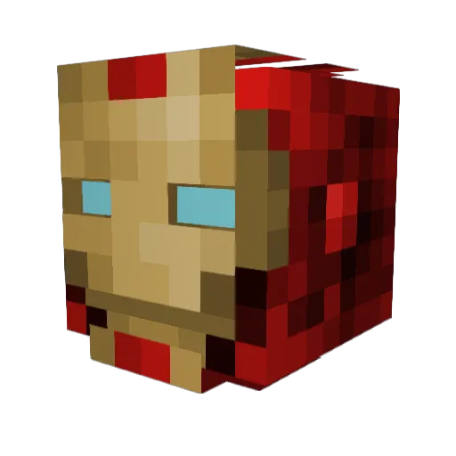 Flies2011 Minecraft avatar head, 3D render