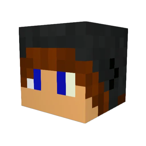 FlightScape Minecraft avatar head, 3D render