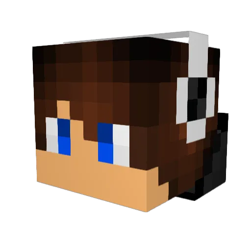 Flighter9000 Minecraft avatar head, 3D render