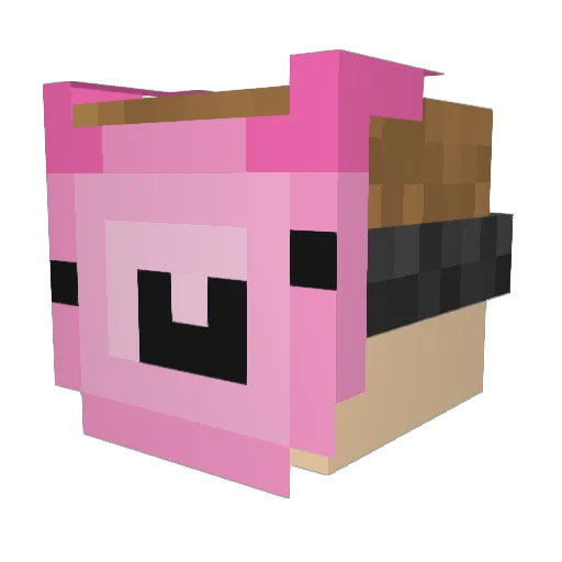 Flimingo Minecraft avatar head, 3D render