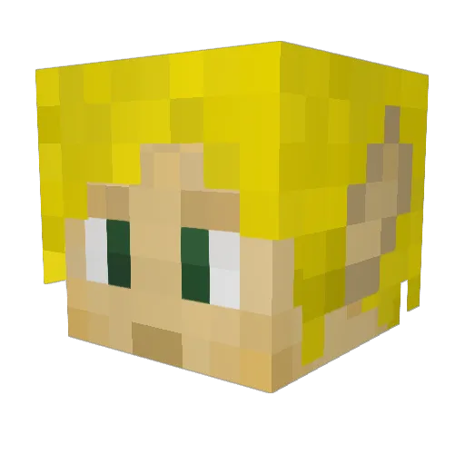 FlimsyFlimFlam Minecraft avatar head, 3D render