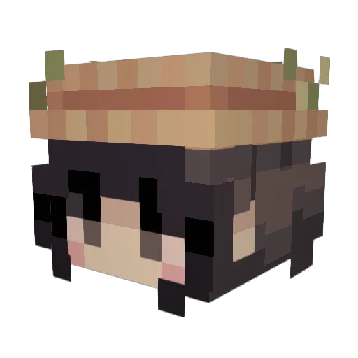 FlimsyLeaf Minecraft avatar head, 3D render