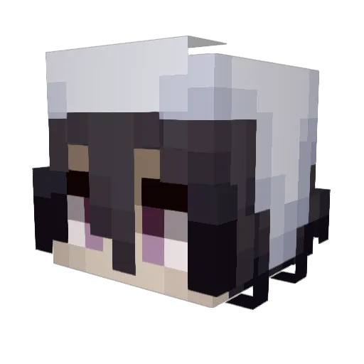 FlimsyParr0t Minecraft avatar head, 3D render