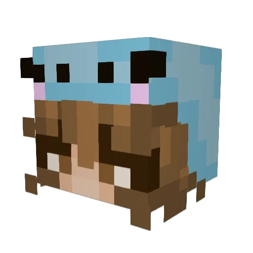 Flindtt Minecraft avatar head, 3D render