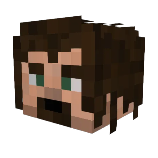 Flinester Minecraft avatar head, 3D render
