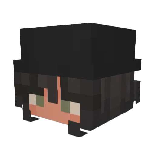Flingan96 Minecraft avatar head, 3D render