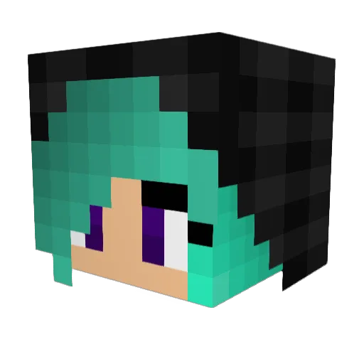 Flinki_95 Minecraft avatar head, 3D render