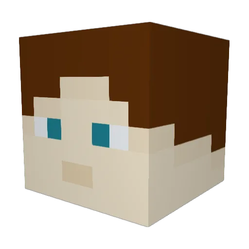 Flint7341 Minecraft avatar head, 3D render