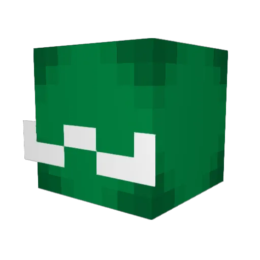 FlintDaFlunk Minecraft avatar head, 3D render