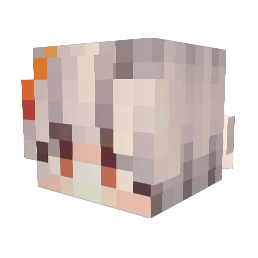 FlintSnow Minecraft avatar head, 3D render