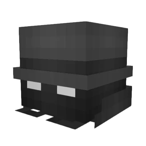 Flip4224 Minecraft avatar head, 3D render