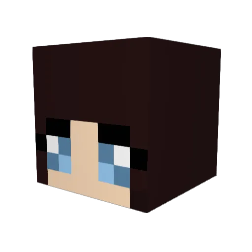 FlipFlopBeBop Minecraft avatar head, 3D render