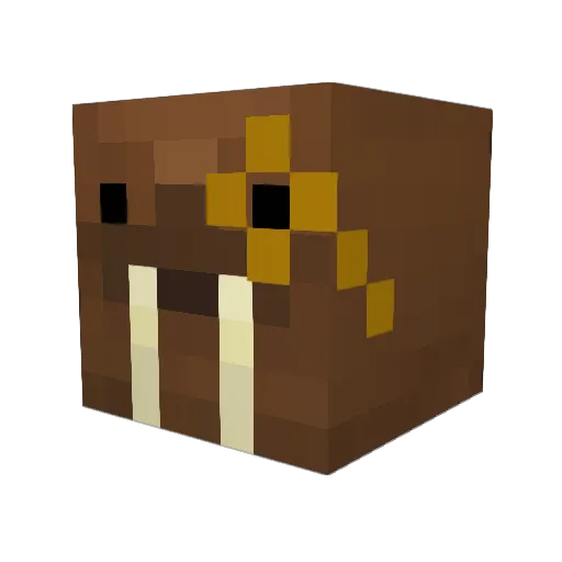 FlipFlopWalrus Minecraft avatar head, 3D render