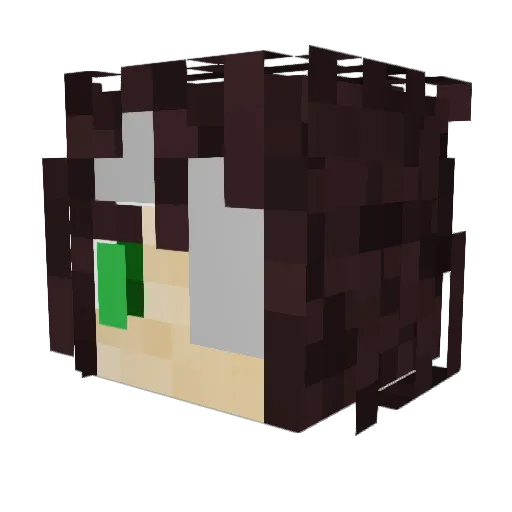FlipR_ZERO Minecraft avatar head, 3D render