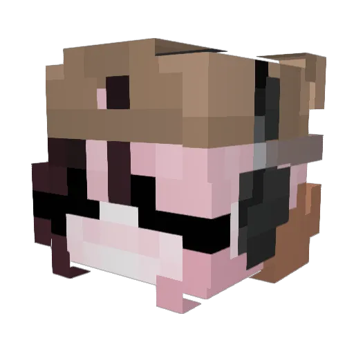 Flipbacc Minecraft avatar head, 3D render
