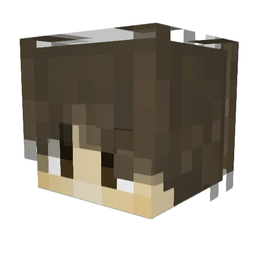 FlipiFlop_8 Minecraft avatar head, 3D render