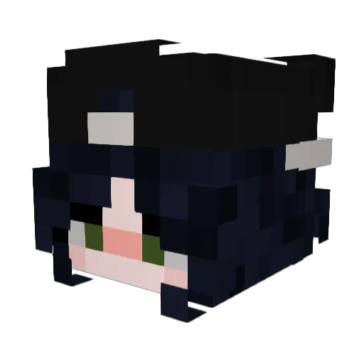 FlippFloffy Minecraft avatar head, 3D render