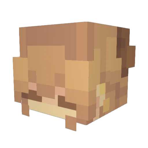 FlipperFish1921 Minecraft avatar head, 3D render