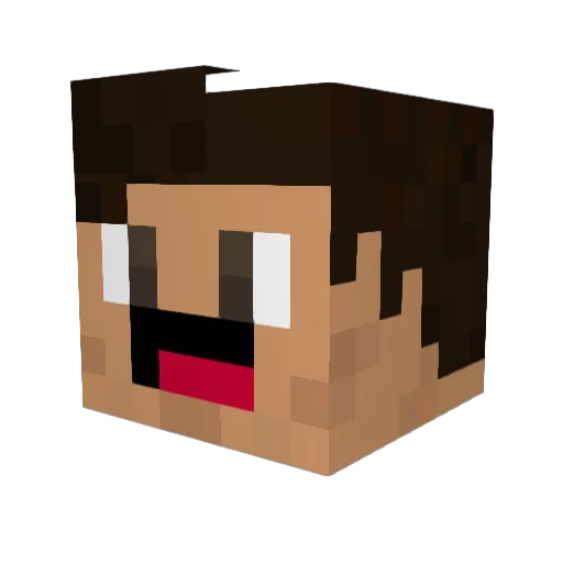 FlipperShark801 Minecraft avatar head, 3D render
