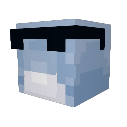Flipper_Gaming Minecraft avatar head, 3D render