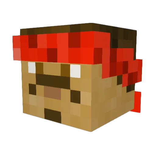 Flipper_MC Minecraft avatar head, 3D render